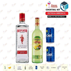 Ginebra Beefeater London Dry 750 ml - Vinos Mas Chidos Ginebra Beefeater London Dry 750 ml - Vinos Mas Chidos